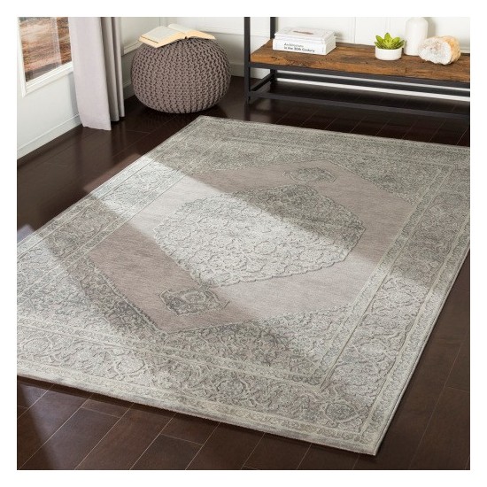 Surya Aesop ASP-2317 2' x 2'11" Rug