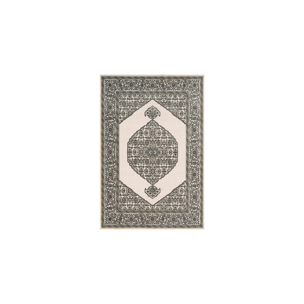 Surya Aesop ASP-2318 2' x 2'11" Rug Surya Aesop ASP-2318 2' x 2'11" Rug