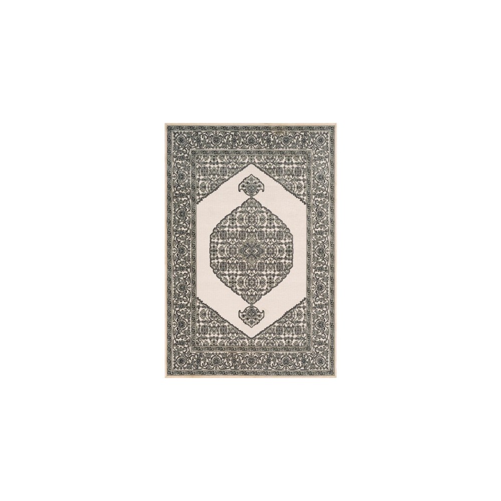 Surya Aesop ASP-2318 6'9" x 9'6" Rug