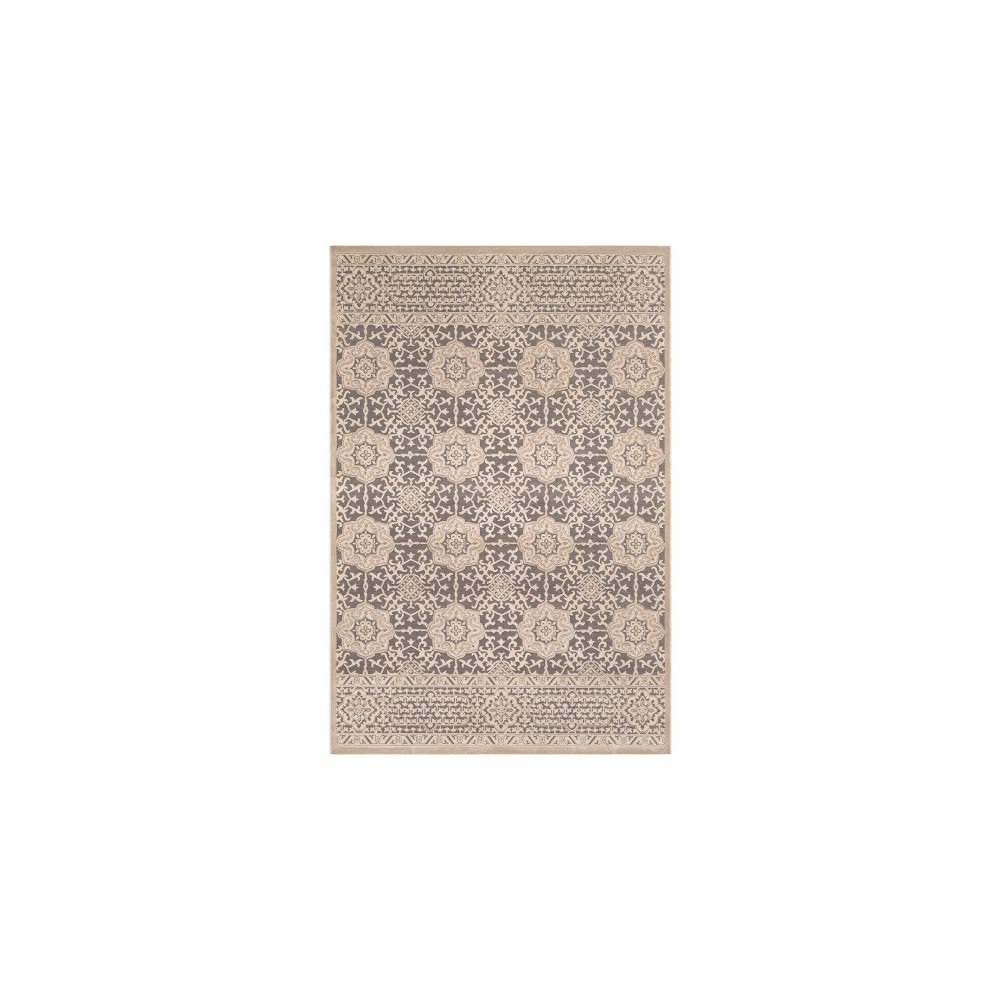 Surya Aesop ASP-2319 5'3" x 7'3" Rug