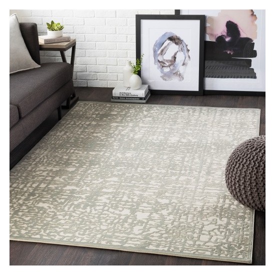 Surya Aesop ASP-2321 5'3" x 7'3" Rug