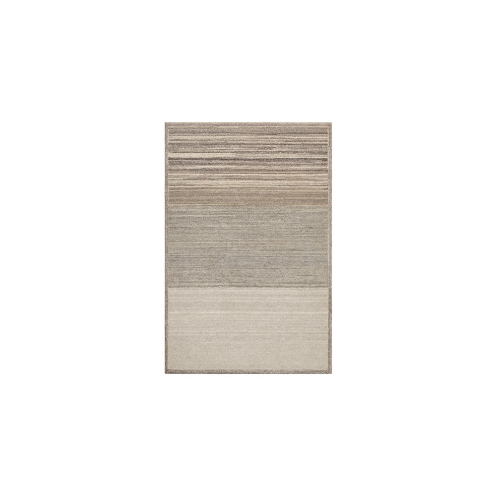 Surya Equilibrium EBM-1004 2' x 3' Rug