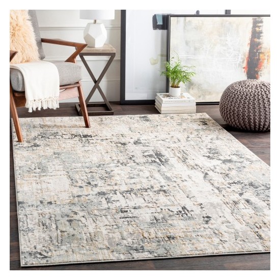 Surya Quatro QUA-2302 2' x 2'11" Rug