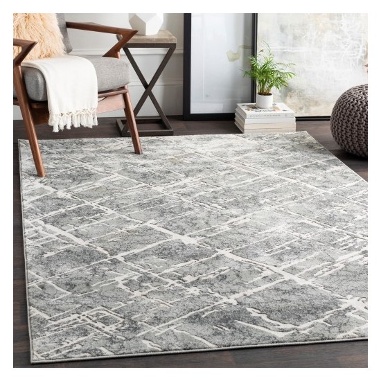 Surya Quatro QUA-2305 2' x 2'11" Rug