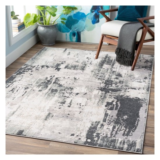 Surya Quatro QUA-2307 2' x 2'11" Rug