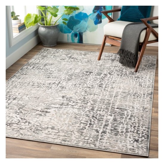 Surya Quatro QUA-2309 5'3" x 7'3" Rug