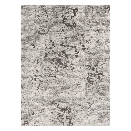 Surya Bahar BHR-2301 2' x 2'11" Rug