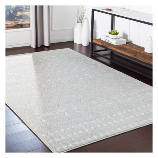 Surya Bahar BHR-2313 2' x 2'11" Rug