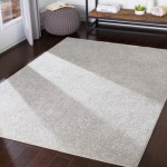 Surya Aisha AIS-2306 2'7" x 7'7" Rug