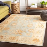 Surya Amelie AML-2302 2' x 2'11" Rug