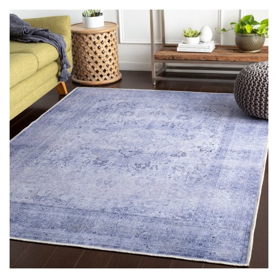 Surya Amelie AML-2304 2' x 2'11" Rug