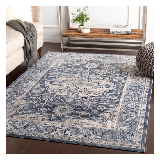 Surya Durham DUR-1013 9' x 12' Rug