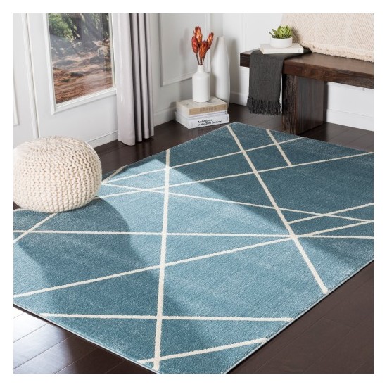 Surya Horizon HRZ-2303 2' x 3' Rug