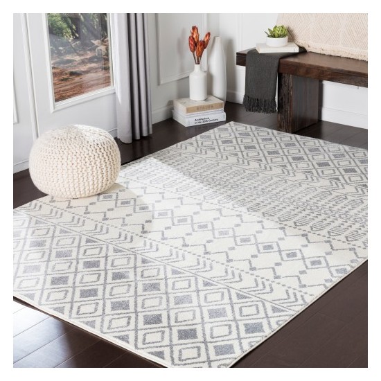 Surya Horizon HRZ-2316 2' x 3' Rug