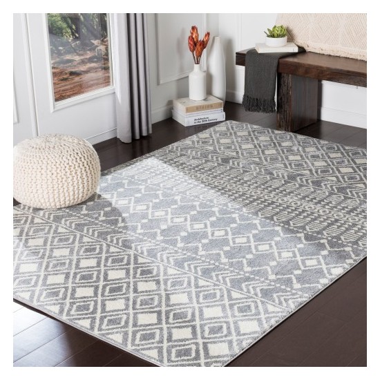 Surya Horizon HRZ-2317 2' x 3' Rug