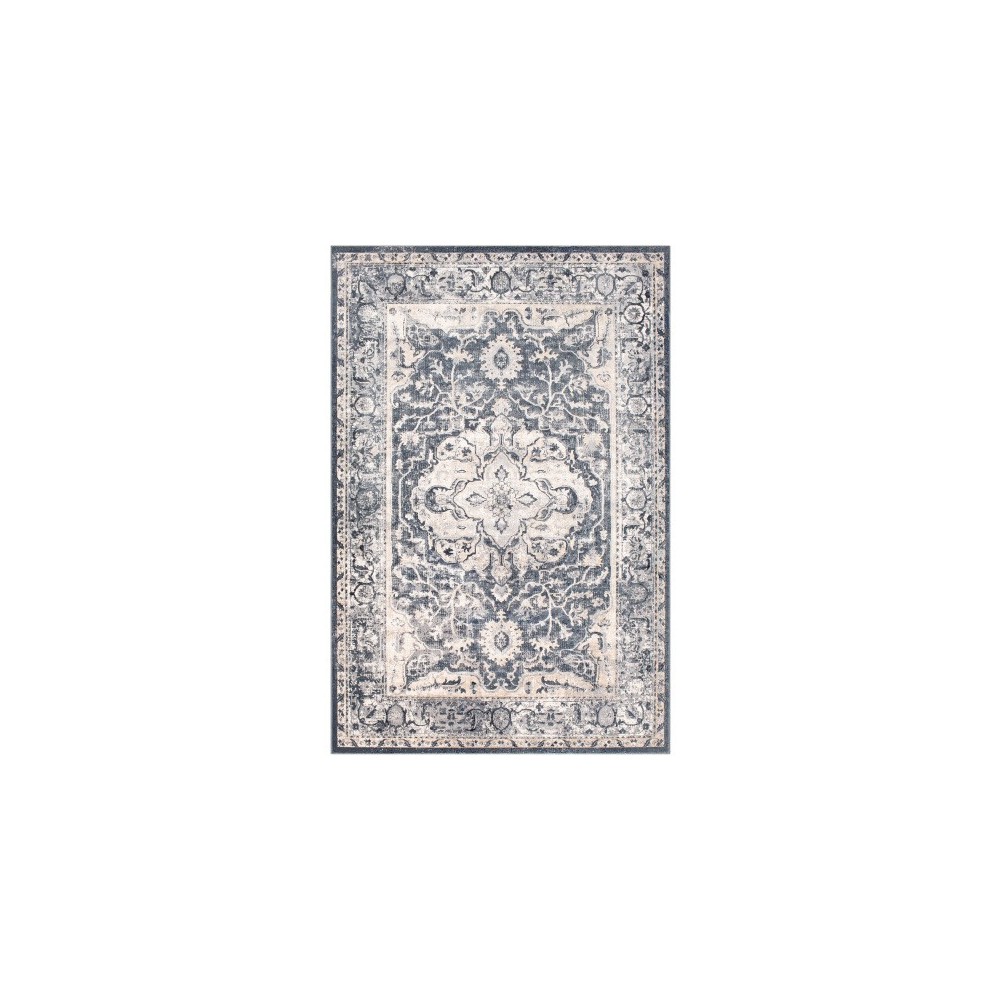 Surya Durham DUR-1013 7'10" x 10'2" Rug