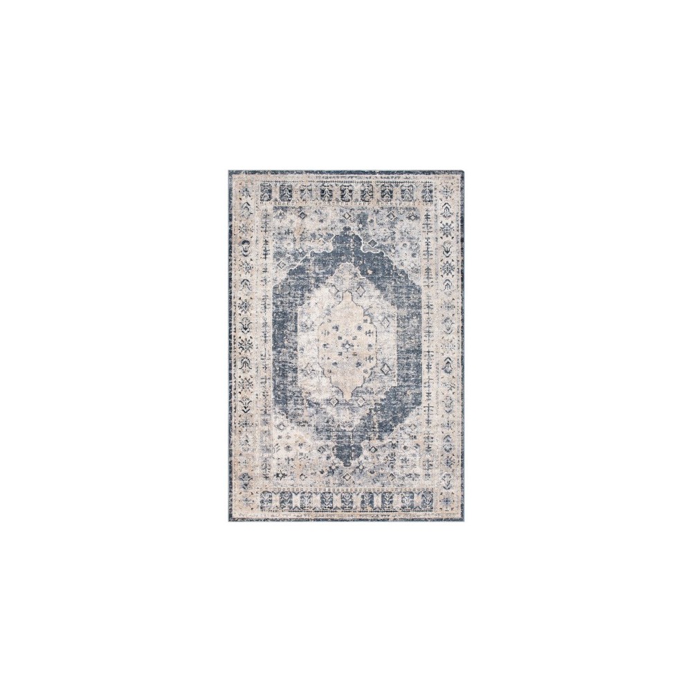 Surya Durham DUR-1015 7'10" x 10'2" Rug Surya Durham DUR-1015 7'10" x 10'2" Rug