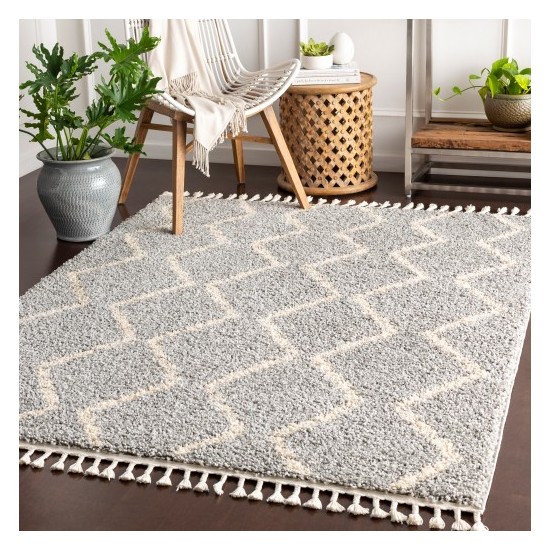 Surya Berber Shag BBE-2304 2' x 2'11" Rug