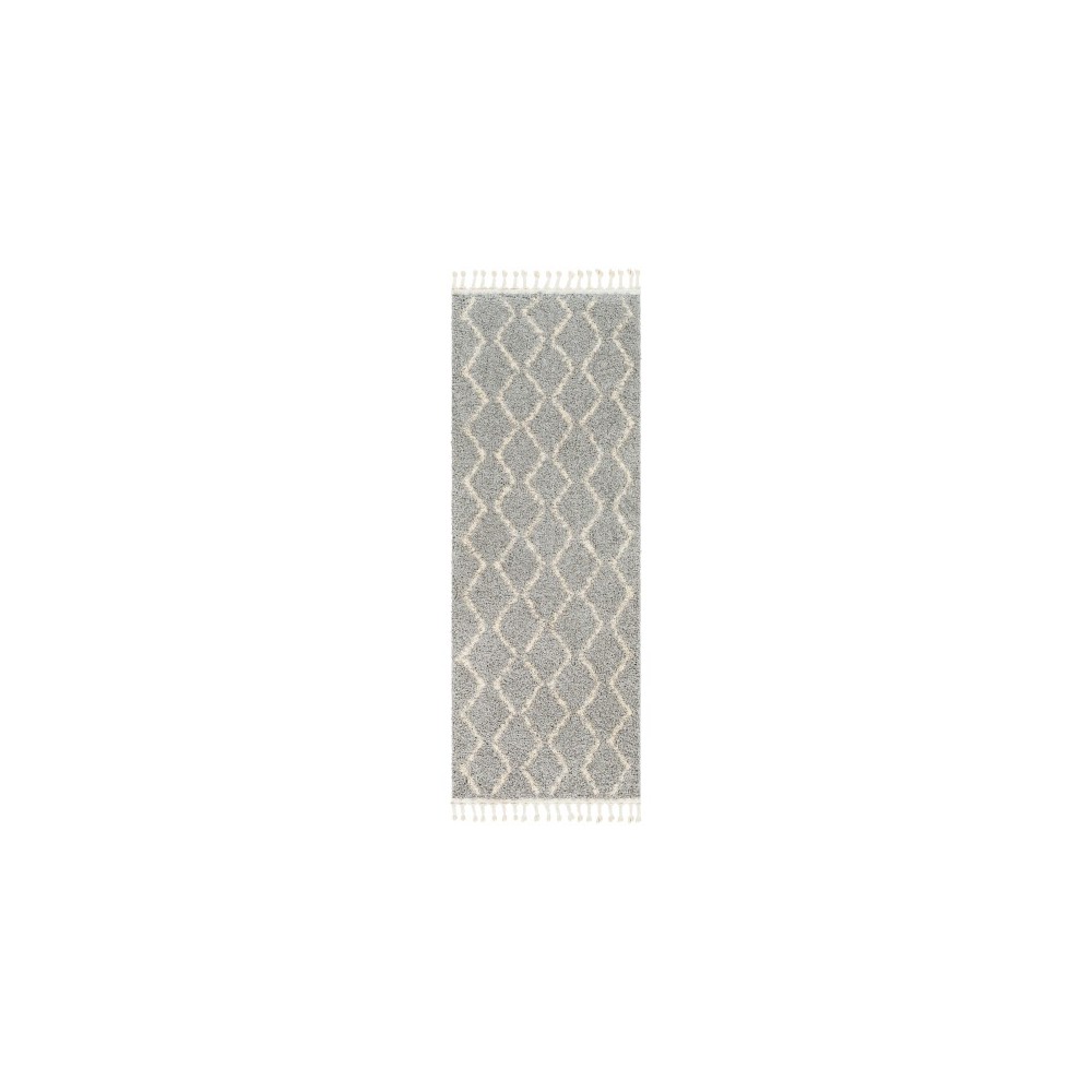 Surya Berber Shag BBE-2304 5'3" x 7'3" Rug Surya Berber Shag BBE-2304 5'3" x 7'3" Rug