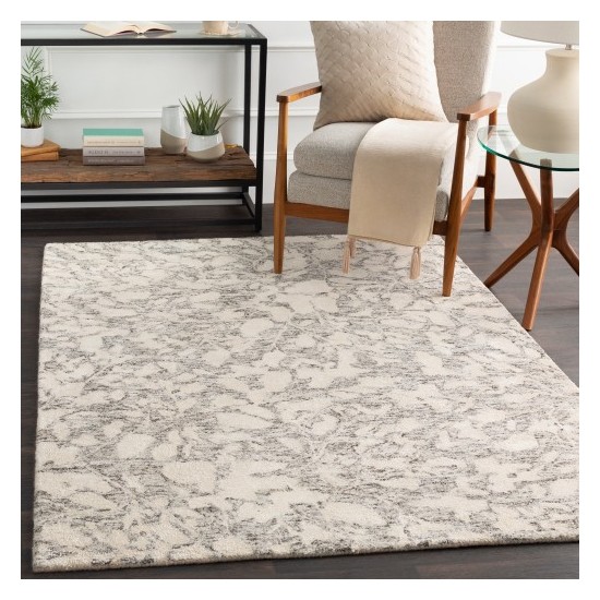 Surya Falcon FLC-8006 2' x 3' Rug