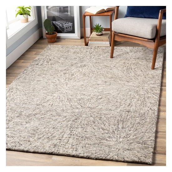 Surya Falcon FLC-8009 2' x 3' Rug