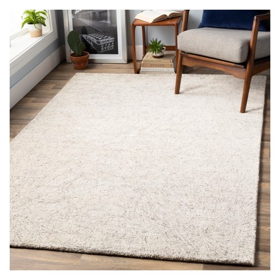 Surya Falcon FLC-8010 2' x 3' Rug