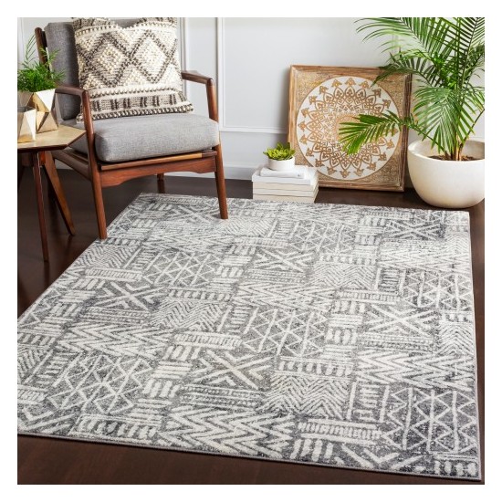 Surya Harput HAP-1093 2'7" x 7'3" Rug