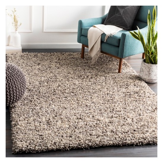 Surya Bexley BXL-1001 2' x 3' Rug