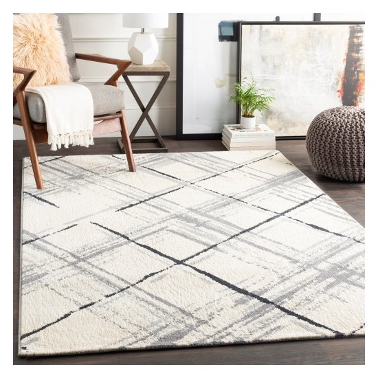 Surya Apricity APY-1021 2' x 3' Rug