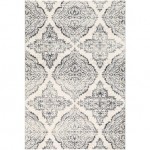 Surya Apricity APY-1022 2' x 3' Rug