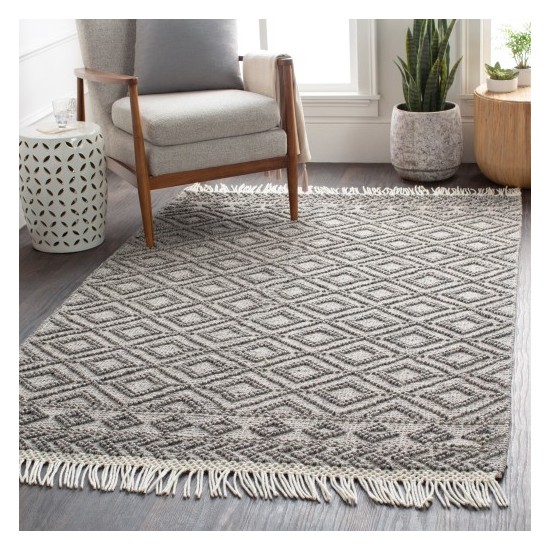 Surya Farmhouse Tassels FTS-2302 2' x 3' Rug