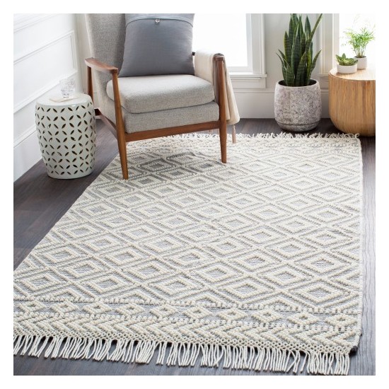 Surya Farmhouse Tassels FTS-2303 2' x 3' Rug