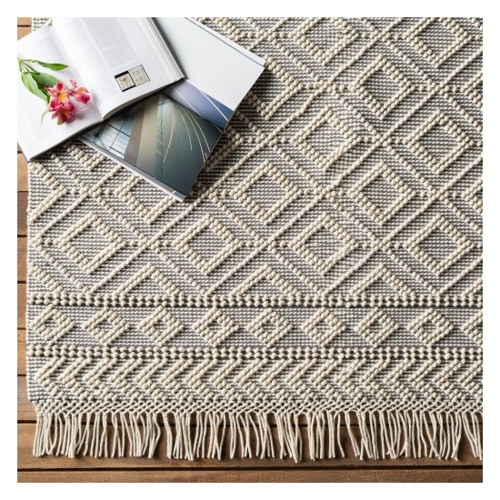 Surya Farmhouse Tassels FTS-2303 2' x 3' Rug