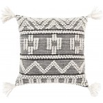 Surya Faroe FAO-001 22" x 22" Pillow Cover