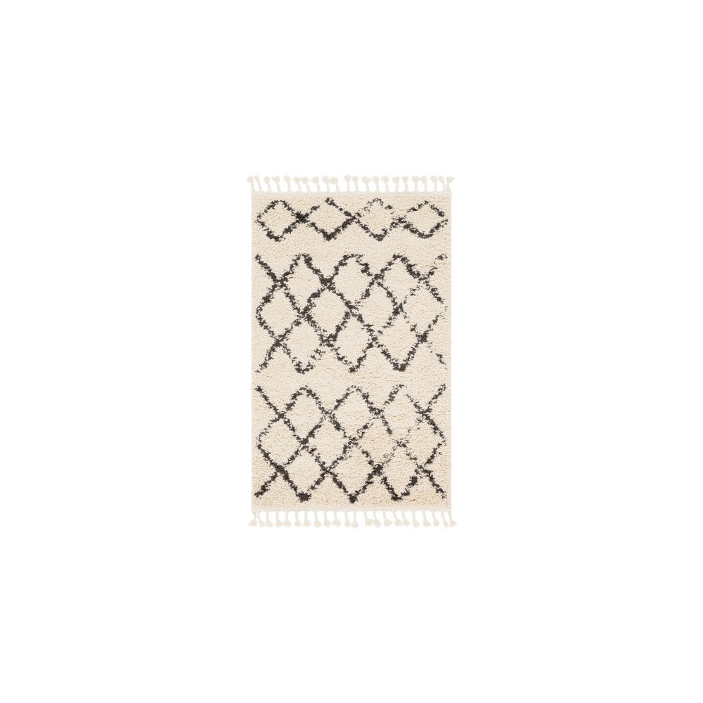 Surya Berber Shag BBE-2300 7'10" Square Rug