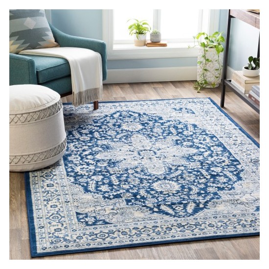 Surya Monaco MOC-2314 2' x 3' Rug