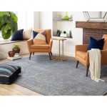 Surya Livorno LVN-2301 2' x 3' Rug