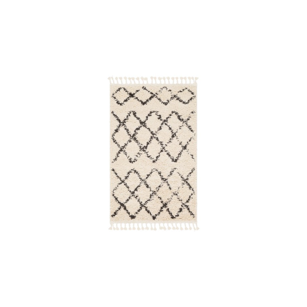 Surya Berber Shag BBE-2300 3'1" x 4'11" Rug Surya Berber Shag BBE-2300 3'1" x 4'11" Rug