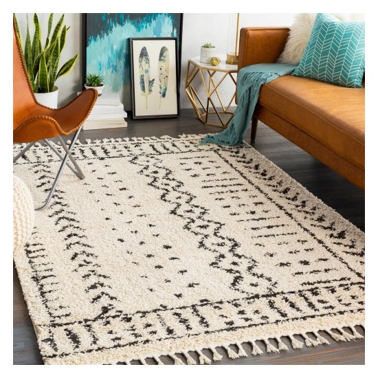 Surya Berber Shag BBE-2311 2' x 2'11" Rug