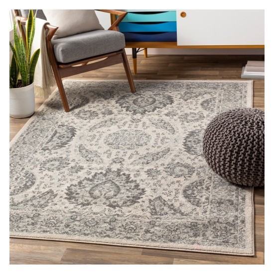 Surya Chester CHE-2300 5'3" x 7'3" Rug