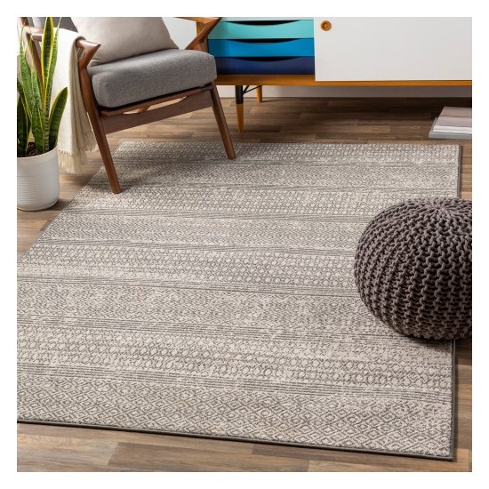 Surya Chester CHE-2303 6'7" x 9' Rug