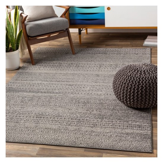 Surya Chester CHE-2304 5'3" x 7'3" Rug