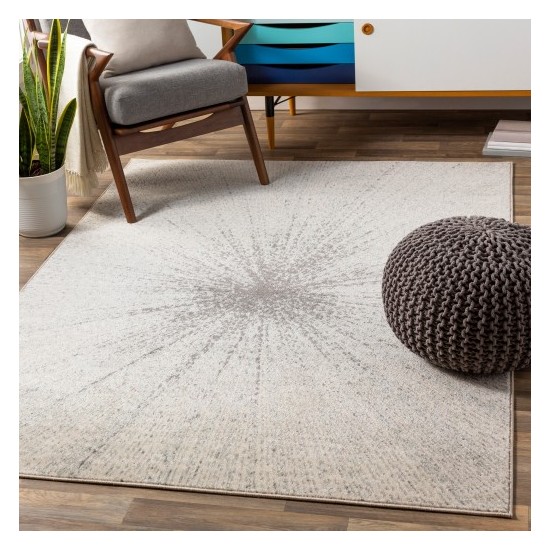 Surya Chester CHE-2305 5'3" x 7'3" Rug