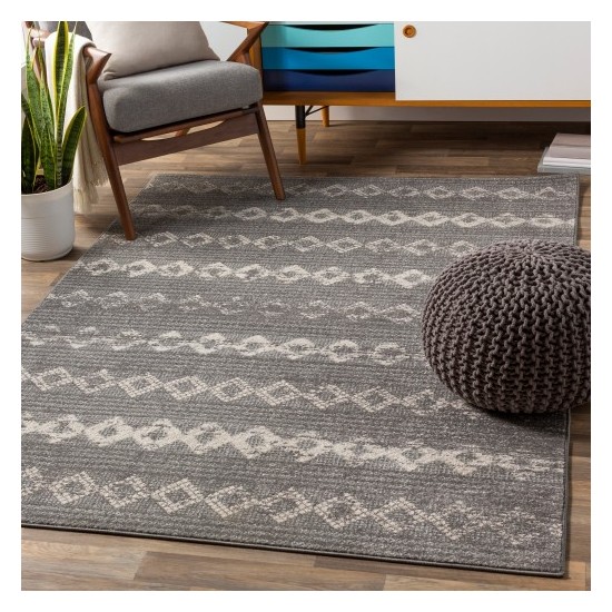 Surya Chester CHE-2307 5'3" x 7'3" Rug