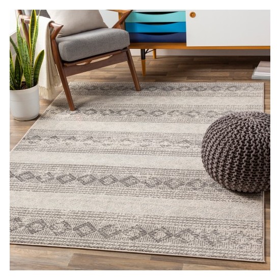 Surya Chester CHE-2308 5'3" x 7'3" Rug