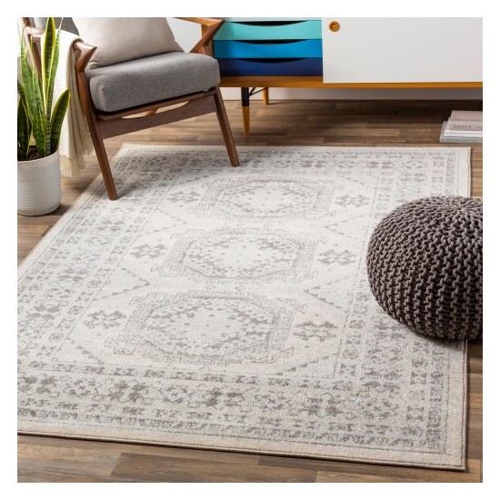 Surya Chester CHE-2309 5'3" x 7'3" Rug