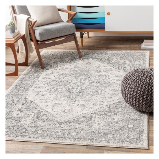 Surya Chester CHE-2312 5'3" x 7'3" Rug