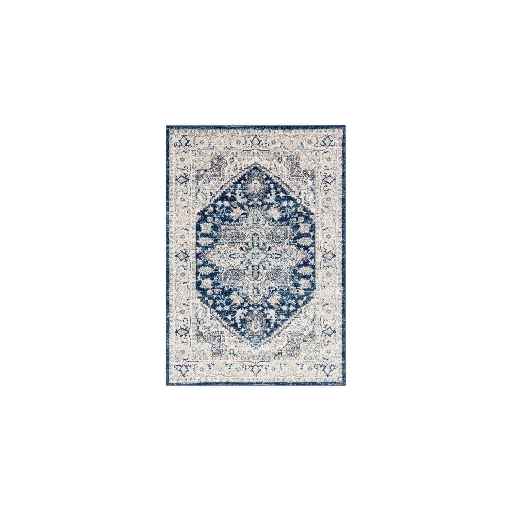 Surya Chester CHE-2313 6'7" x 9' Rug