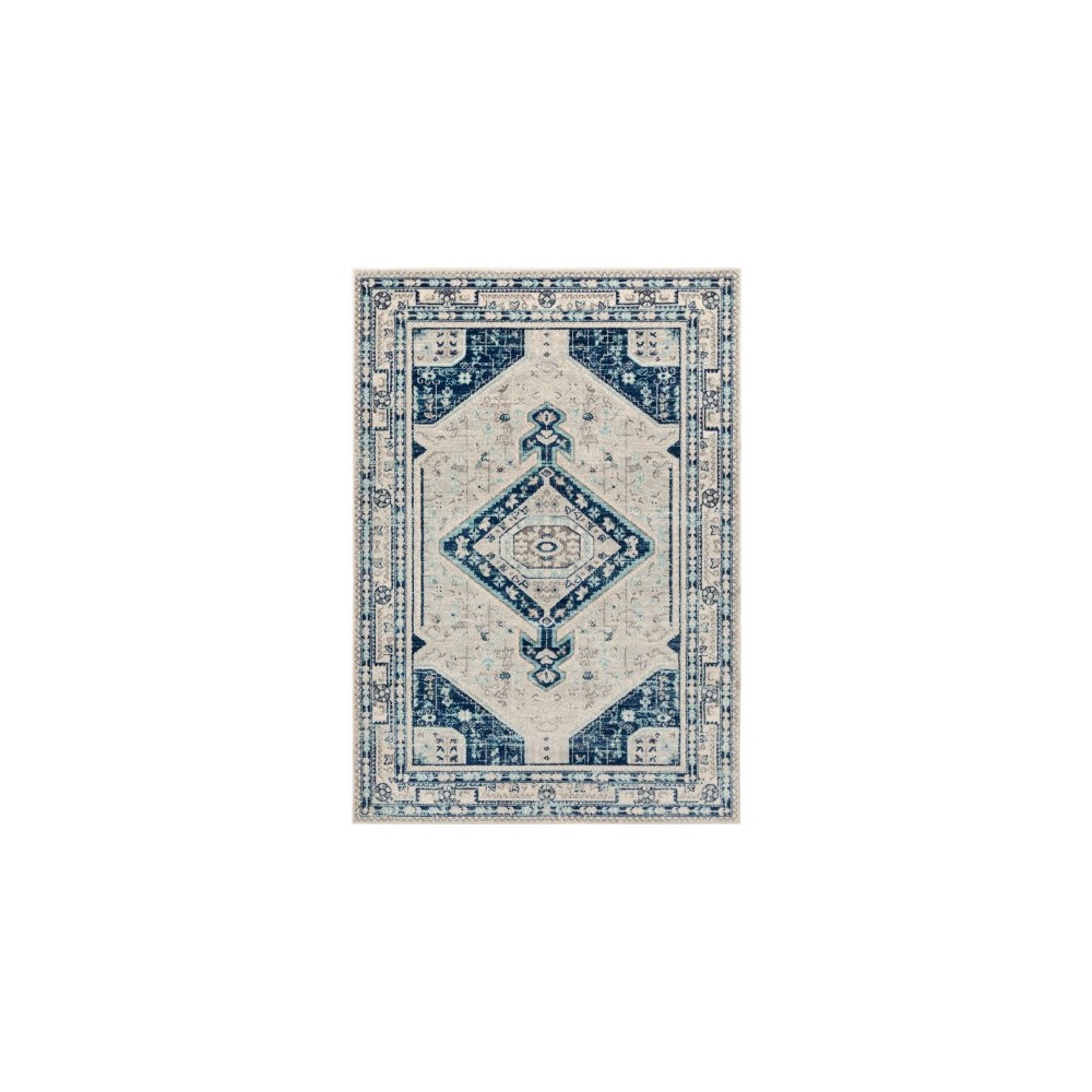 Surya Chester CHE-2314 5'3" x 7'3" Rug