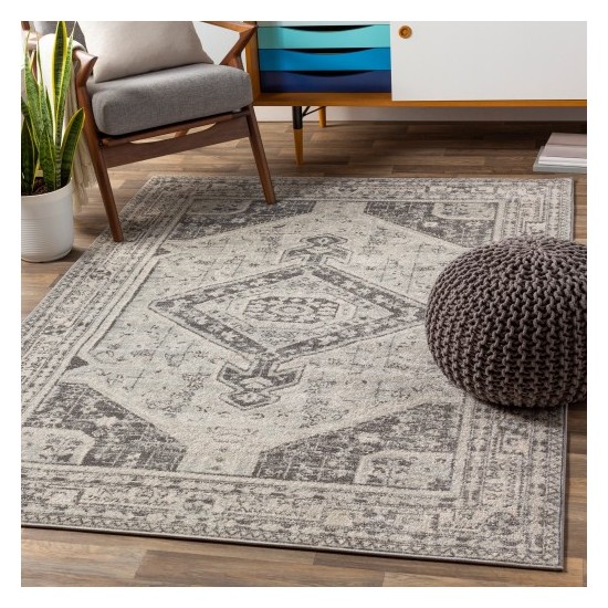 Surya Chester CHE-2315 5'3" x 7'3" Rug